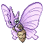 Venomoth